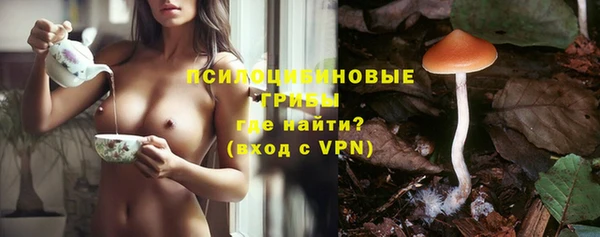 стаф Мегион