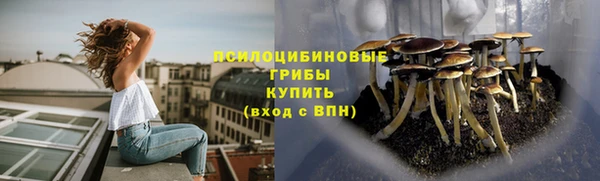 MDMA Premium VHQ Медвежьегорск