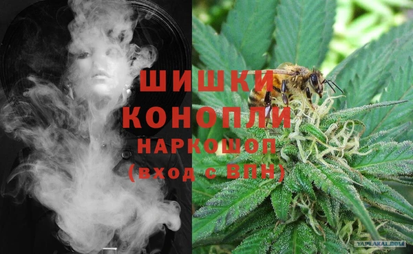 стаф Мегион