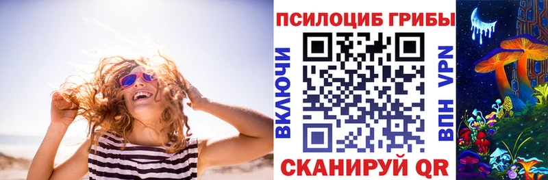 Купить закладки  Ува  Псилоцибиновые грибы мухоморы 
